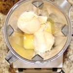 Orange Julius in a Vitamix