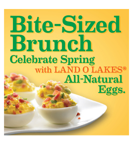 LOL_Eggs_1321A_logo