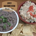 Spicy Southwestern bean dip