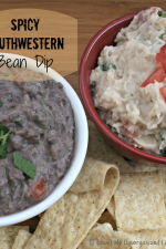 Spicy Southwestern bean dip