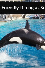 seaworld-8 800 title2
