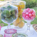 How to Throw a Dinner Party on a Budget