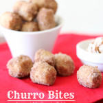 Churro Bites...taste just as good as the ones at Disneyland or Costco, but bite sized!