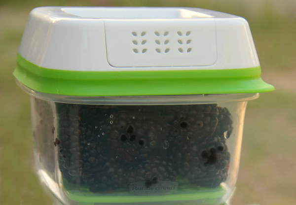 rubbermaid-with-blackberries