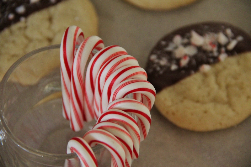 Chocolate Peppermint Cookies