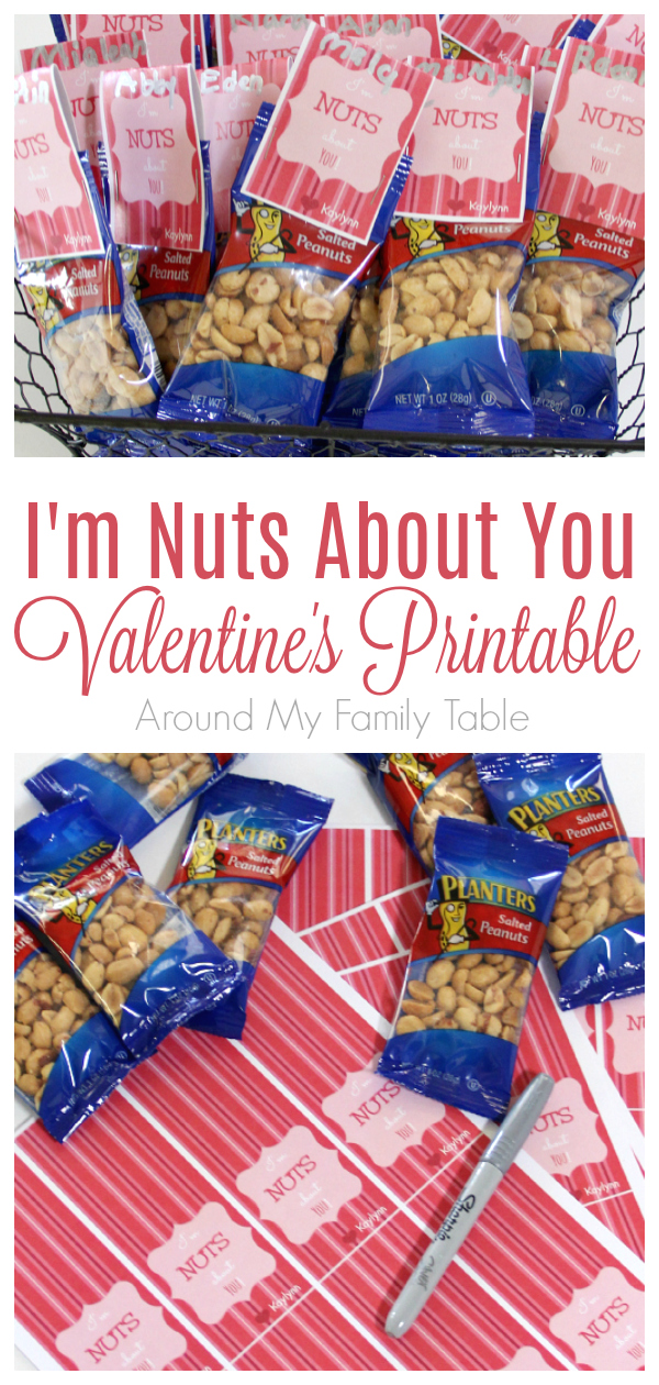 This I'm Nuts About You Valentine Printable is super fast and easy to put together, even on the night before Valentine's Day! It's such a cute Valentine idea for the kids.