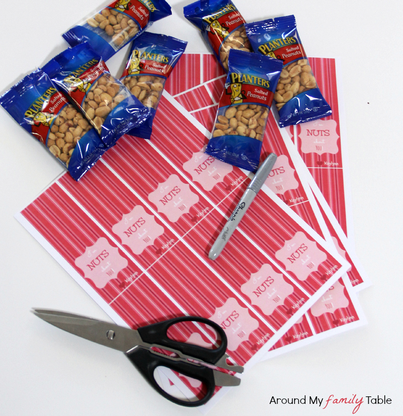 I'm Nuts About You Valentine {with free printable}