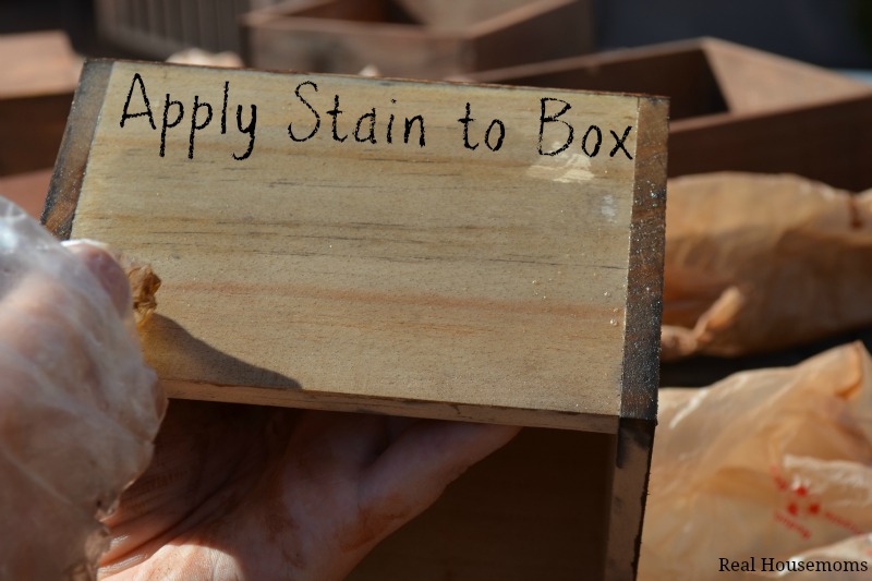 Apply Stain to Box