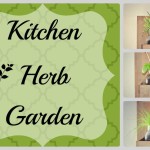 DIY Kitchen Herb Garden