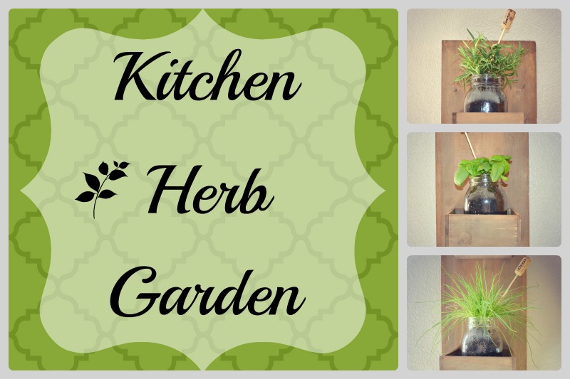 DIY Kitchen Herb Garden...easy and inexpensive