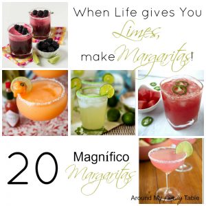 20 Magnífico Margarita Recipes