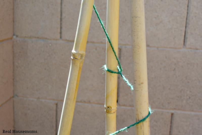 DIY Natural Bamboo Tomato Cage: Don't Slip