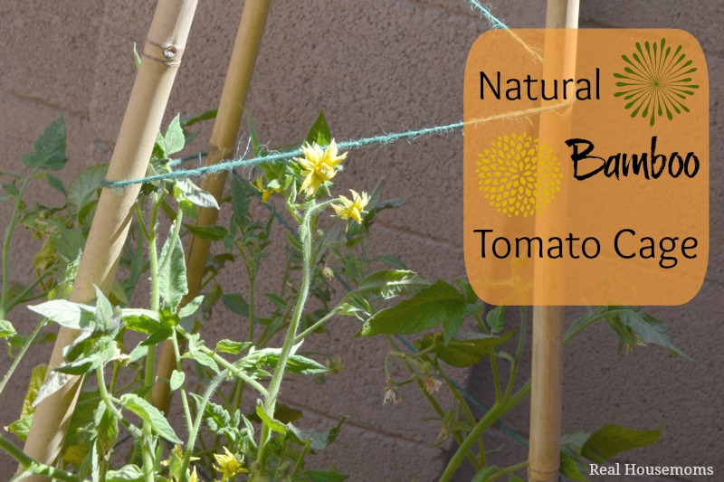 DIY Natural Bamboo Tomato Cage