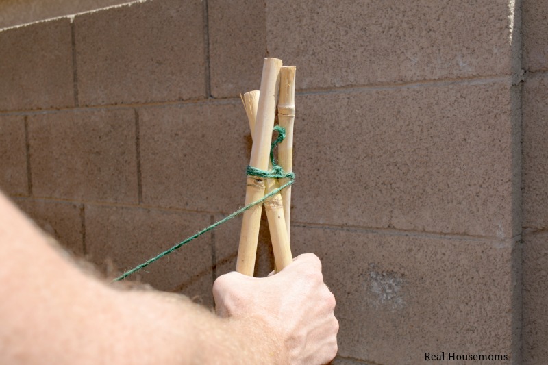 DIY Natural Bamboo Tomato Cage: Tie Knot and Wrap