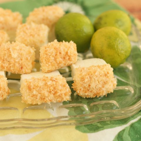 Toasted Coconut and Key Lime Marshmallows