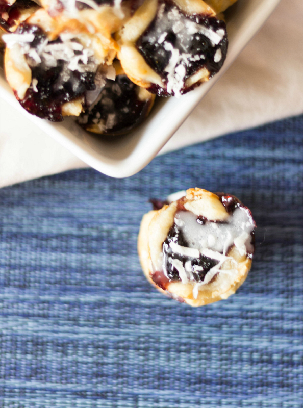 Blueberry Cottage Cheese Cookies
