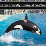 Allergy Friendly Dining at SeaWorld