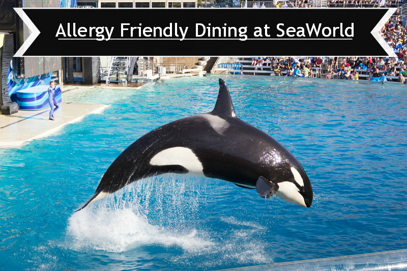 Allergy Friendly Dining at SeaWorld