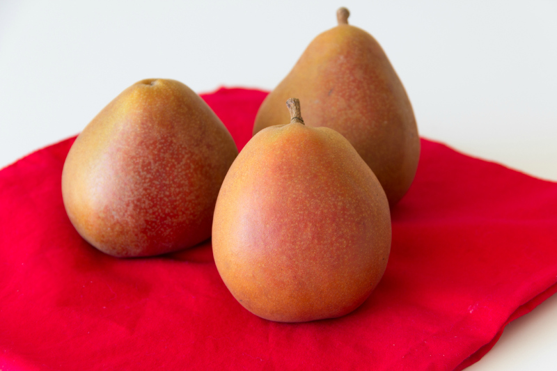 New Zealand Taylor Gold Pears & a recipe for Chocolate Dipped Pear Popsicles