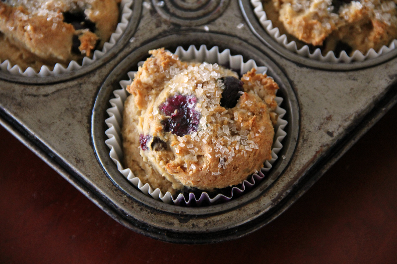 Gluten Free - Vegan Blueberry Muffins