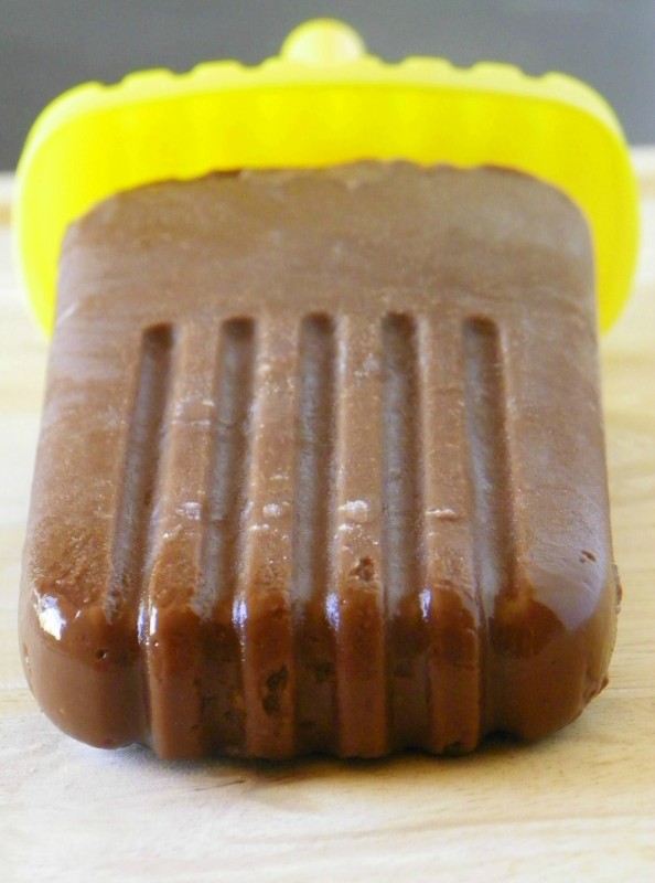Vegan Chocolate Pudding Pops