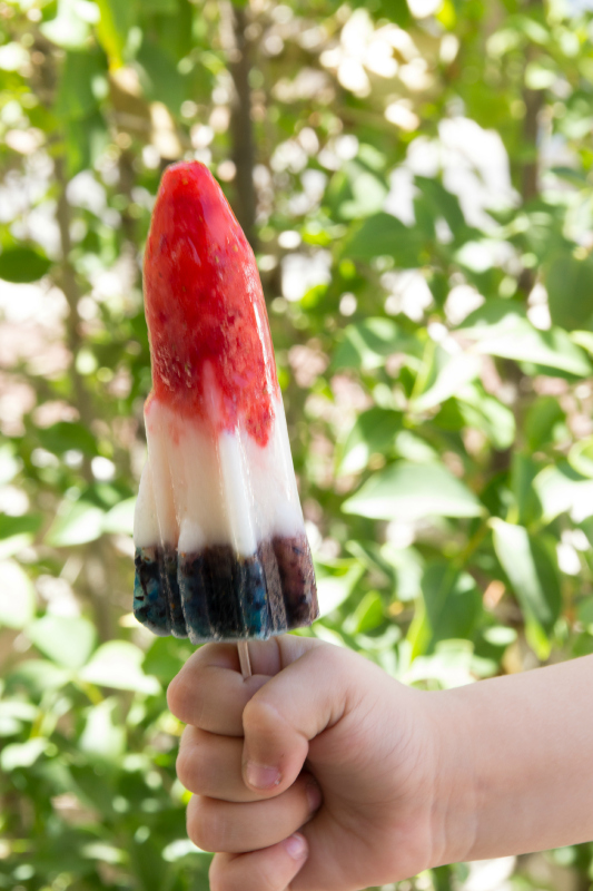 These Popsicle Rockets are made with tons of fresh fruit and have no dyes, no dairy, and very little sugar which means moms will love giving these popsicles to their kids.