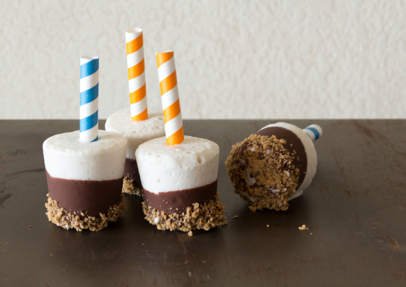S'Mores Popsicles {so easy and delicious, plus they are gluten free and dairy free}