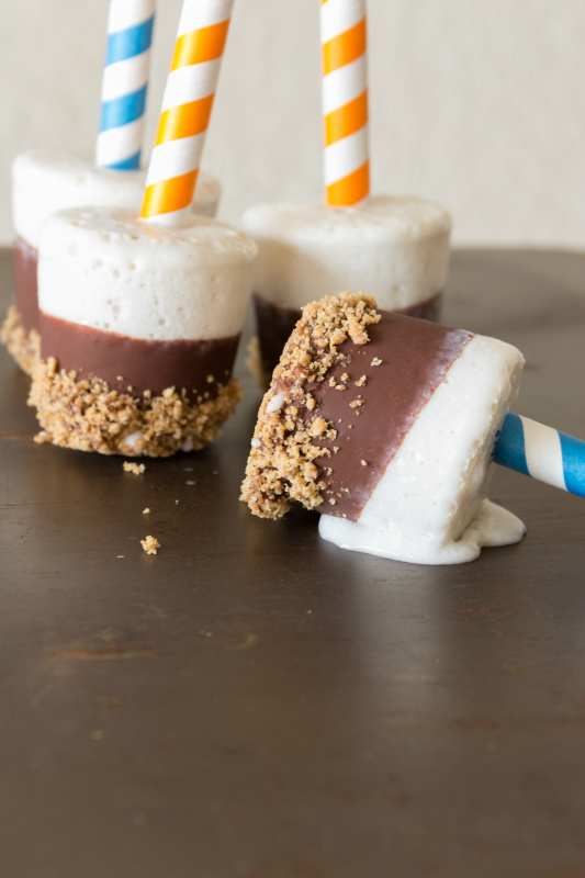 S'Mores Popsicles {so easy and delicious, plus they are gluten free and dairy free}