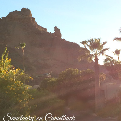 Sanctuary on Camelback Review