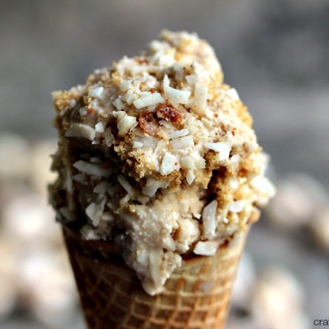 Vegan Coconut Ice Cream