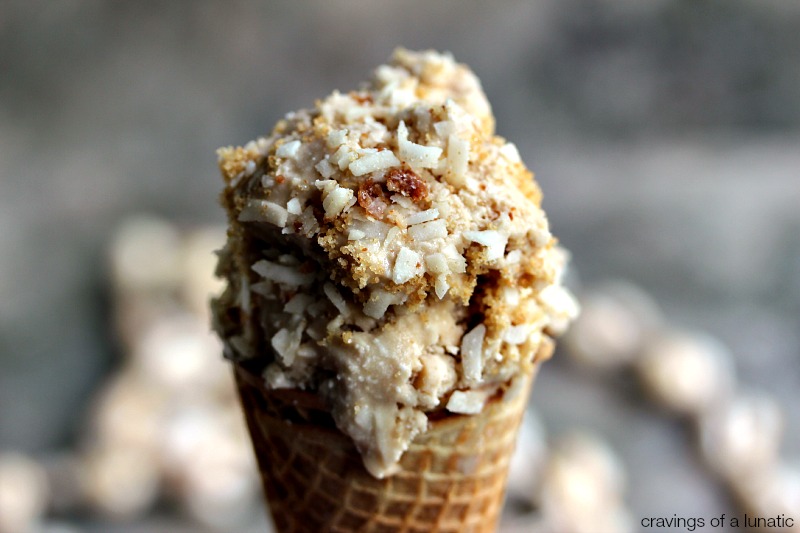 Vegan Coconut Ice Cream 