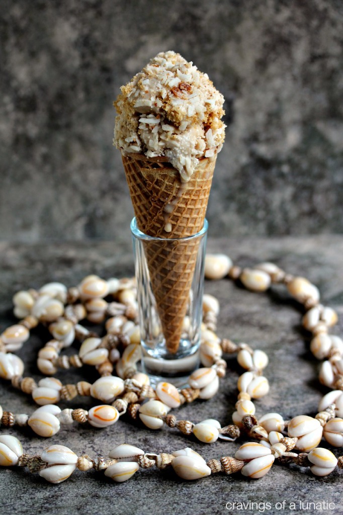 Vegan Coconut Ice Cream 