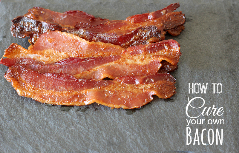 How to Cure Your Own Bacon