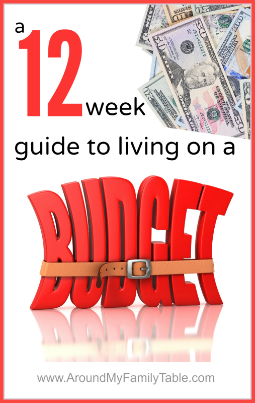 Living on a Budget: A 12 week series to keep you living within your means and on a budget!