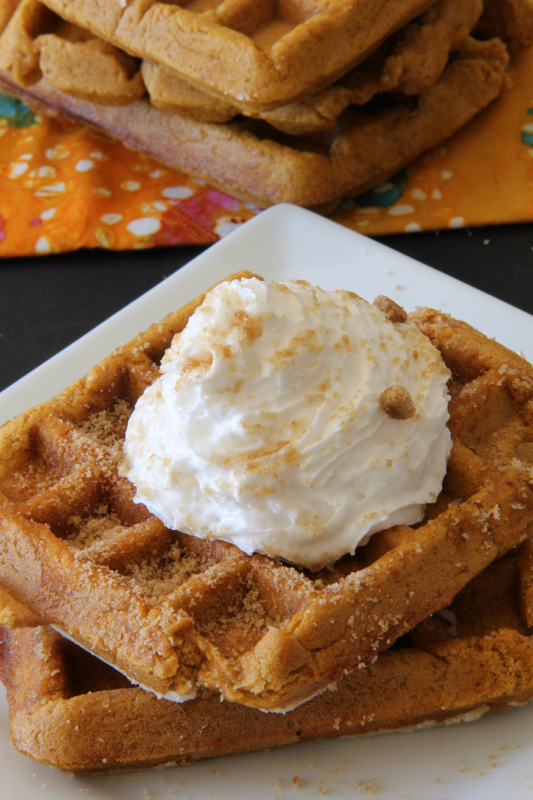 Pumpkin Pie Waffles {only 3 ingredients} gluten free and traditional versions