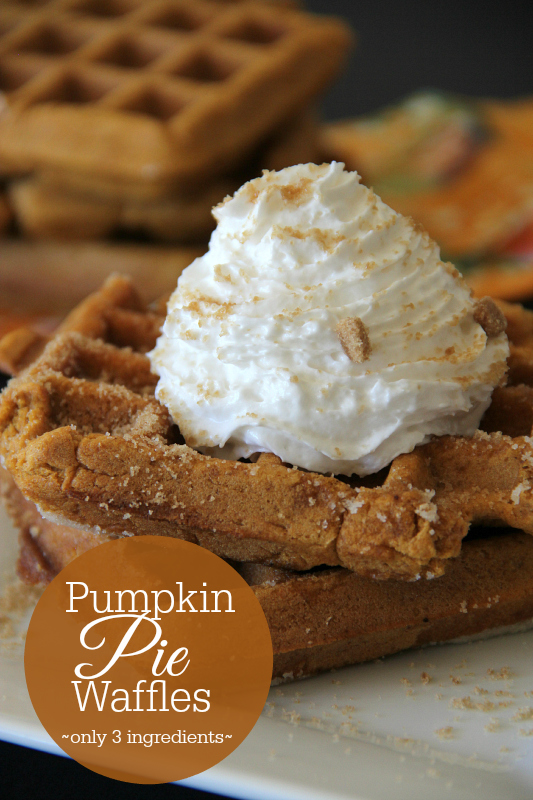 Pumpkin Waffles Recipe (Easy!) - Sally's Baking Addiction