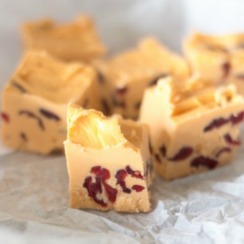 Dairy Free Cranberry Orange Fudge