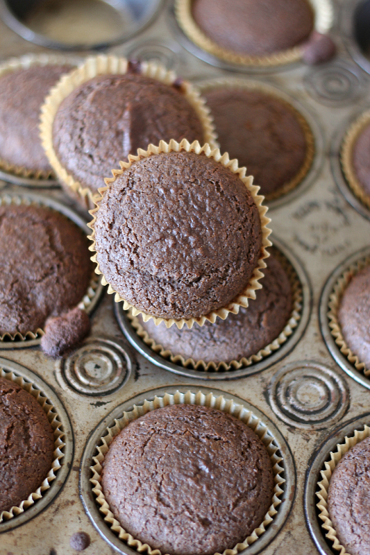 I love these easy and delicious Gluten Free Chocolate Muffins that are low in fat and so will you!