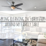 Spring Cleaning In Five Easy Steps