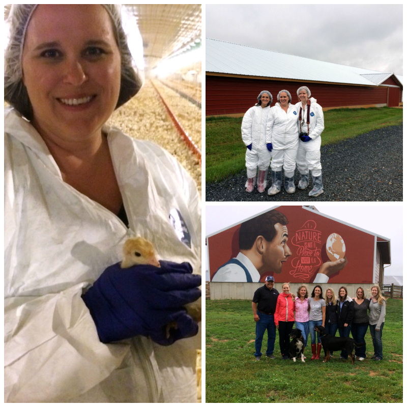 Visiting one of the family turkey farms in VA.