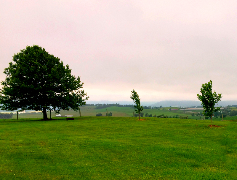 Turkey Farm in VA