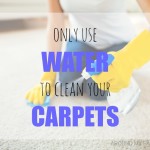 Why You Should Never Use Soap to Clean Your Carpets