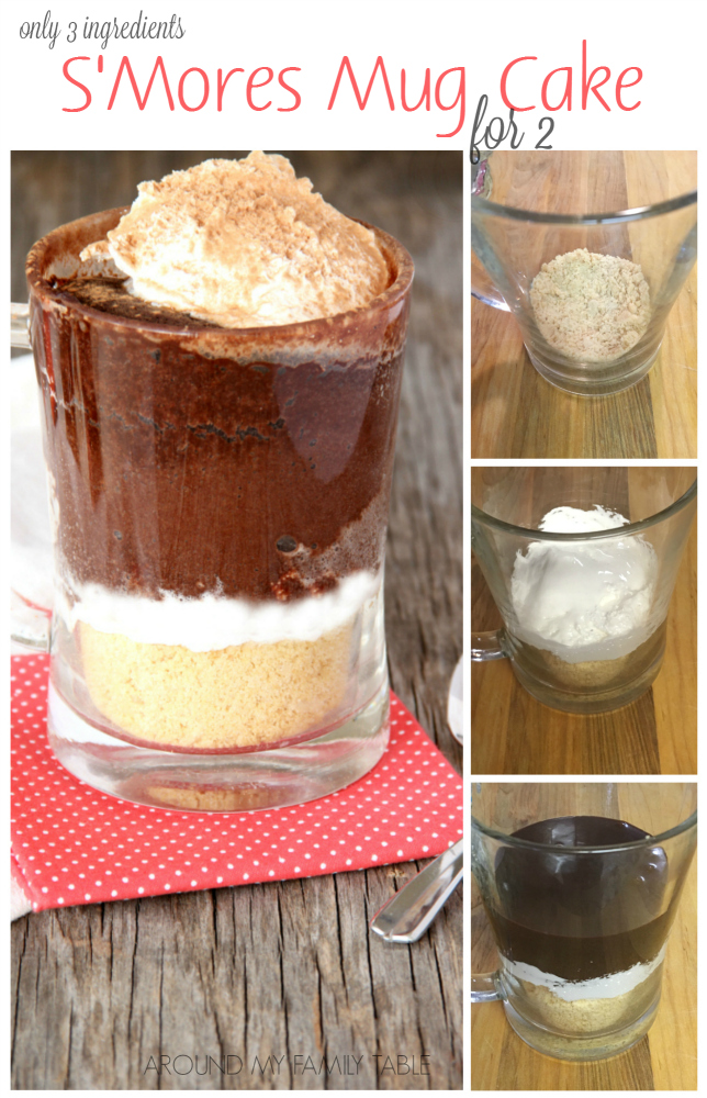I love surprising Hubby with a special dessert just for the two of us after the kids are in bed. Surprise your sweetie with this easy S'Mores Mug Cake. 