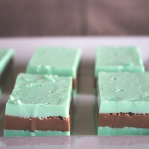 Grasshopper Jello Shots are a crazy delicious mixture of chocolate and mint no one can resist!