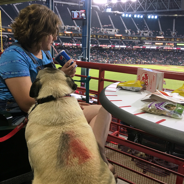 Take your dog to the Ballpark with PetSmart and the AZ Diamondbacks! 
