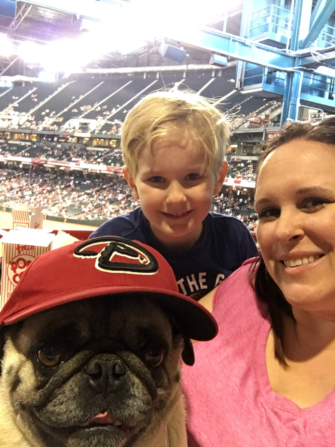 Take your dog to the Ballpark with PetSmart and the AZ Diamondbacks! 