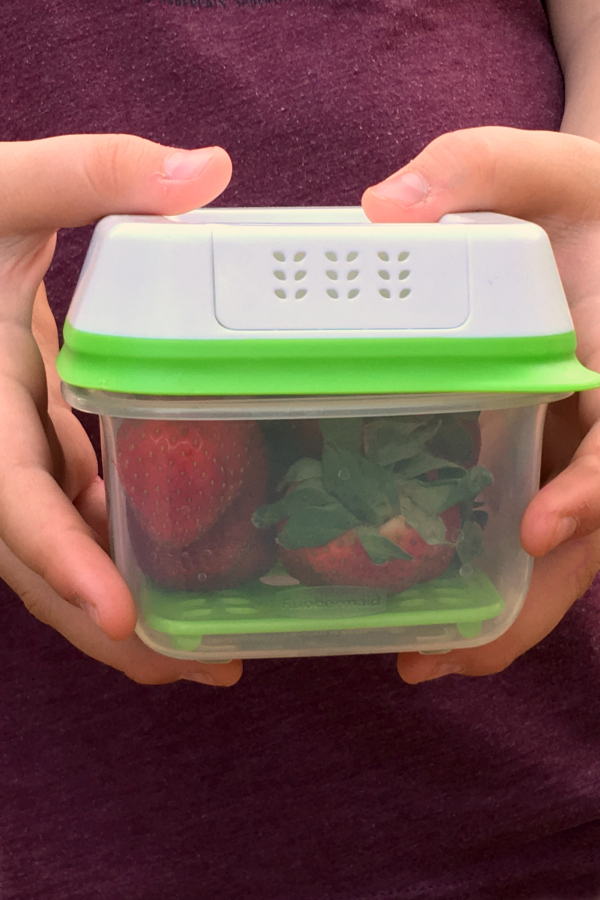 rubbermaid with fruit