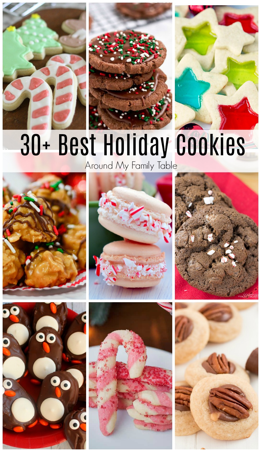 This is my list of the Best Holiday Cookies!  You have to make these to go on your cookie platter or for your holiday cookie exchange.  Trust me!