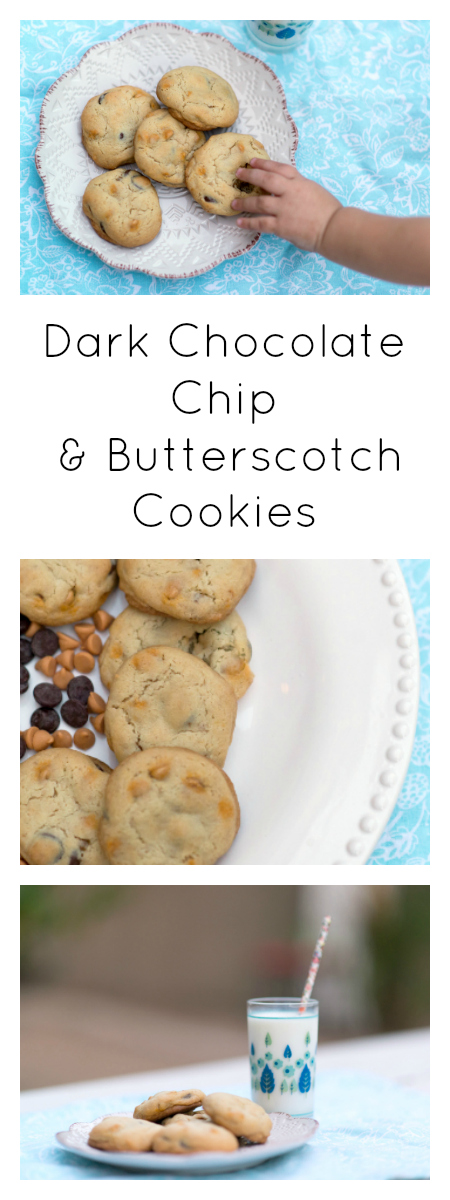 Where are all the dark chocolate lovers? These Dark Chocolate Chip and Butterscotch Cookies are a dark chocolate lover's dream cookie!