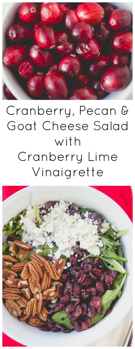 This delicious winter Cranberry Pecan & Goat Cheese Salad is just what you need to eat healthy without feeling deprived.